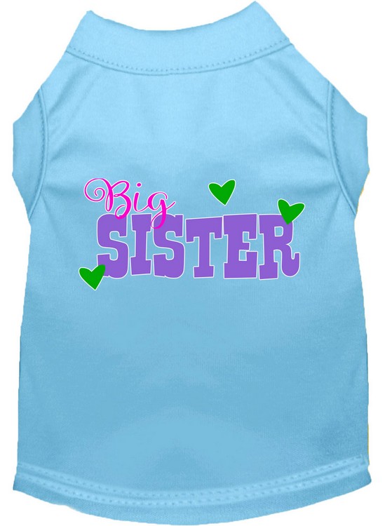 Big Sister Screen Print Dog Shirt Baby Blue XL